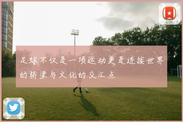 足球不仅是一项运动更是连接世界的桥梁与文化的交汇点