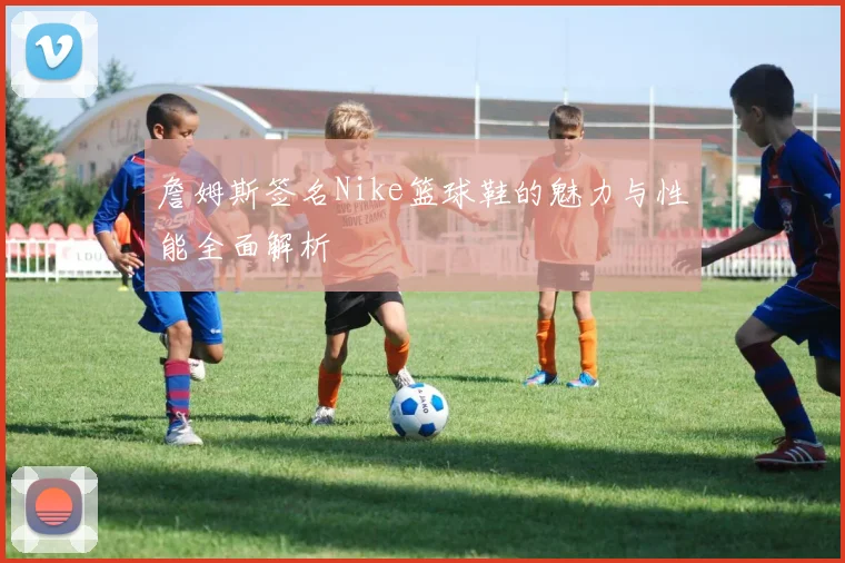 詹姆斯签名Nike篮球鞋的魅力与性能全面解析