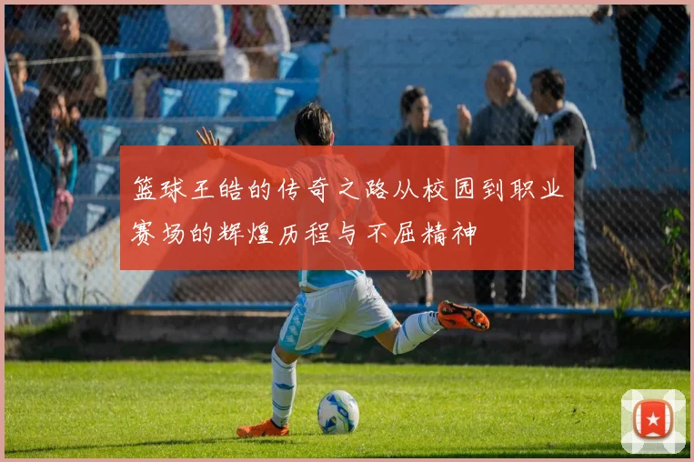 篮球王皓的传奇之路从校园到职业赛场的辉煌历程与不屈精神