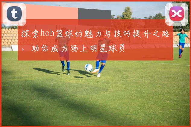 探索hoh篮球的魅力与技巧提升之路，助你成为场上明星球员