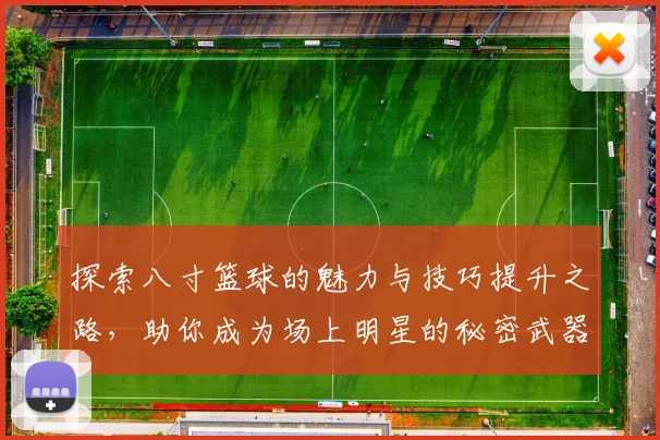探索八寸篮球的魅力与技巧提升之路，助你成为场上明星的秘密武器