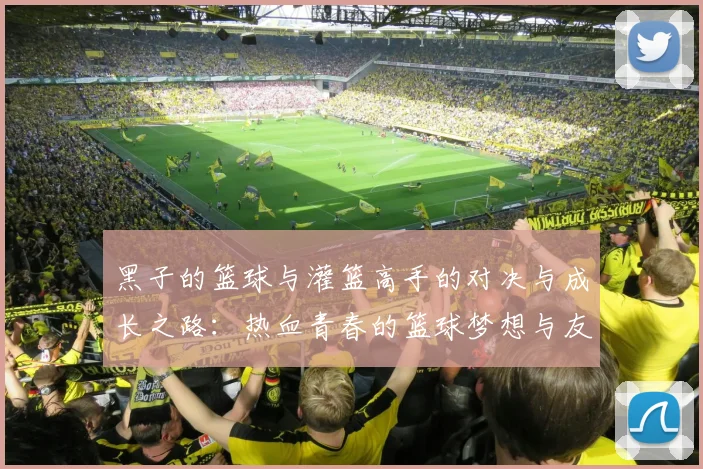 黑子的篮球与灌篮高手的对决与成长之路：热血青春的篮球梦想与友谊