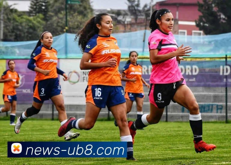 App Interface Preview